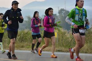 BIB: 2439
                            <button type="button" onclick="openModal(6878490)" class="btn btn-primary btn-sm float-right btn-popup" data-toggle="modal" data-target=".modal-high-quality">
                        <i class="fas fa-shopping-cart"></i> Add to Cart
                    </button>
                                            <button type="button" onclick="isThisMe(6878490, true)" class="btn btn-success btn-sm float-right btn-popup btn-isme hidden" data-toggle="tooltip" data-placement="bottom" title="นี่คือรูปของคุณใช่ไหม คลิกที่นี่เพื่อเอาเข้าอัลบั้ม">
                        <i class="fas fa-plus"></i> Add to album
                    </button>
                    <button type="button" onclick="isThisMe(6878490, false)" class="btn btn-warning btn-sm float-right btn-popup btn-isnotme hidden">
                        <i class="fas fa-ban"></i> Remove from album
                    </button>